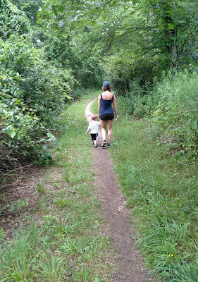 Bald Mountain Trail Head