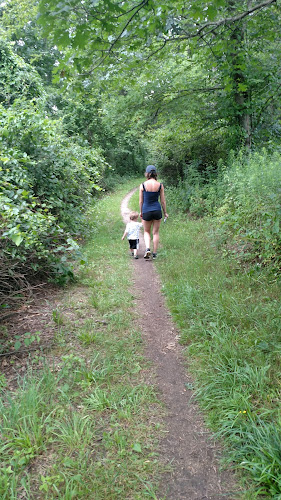 Bald Mountain Trail Head