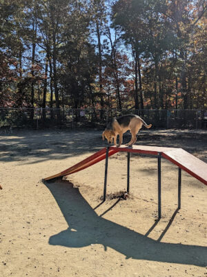 K9 Gunner Memorial Dog Park - Lake Ridge, VA
