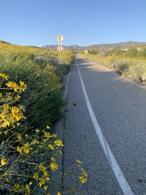Hansen Dam Wildlife Preserve