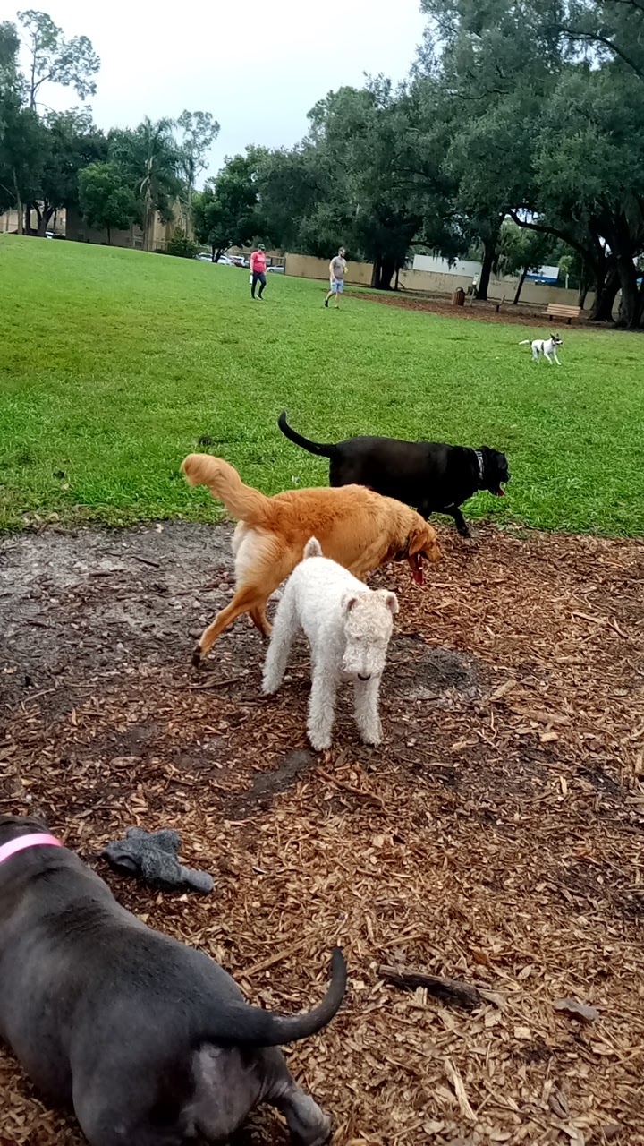 Dog Leg Woods - Lakeland, FL