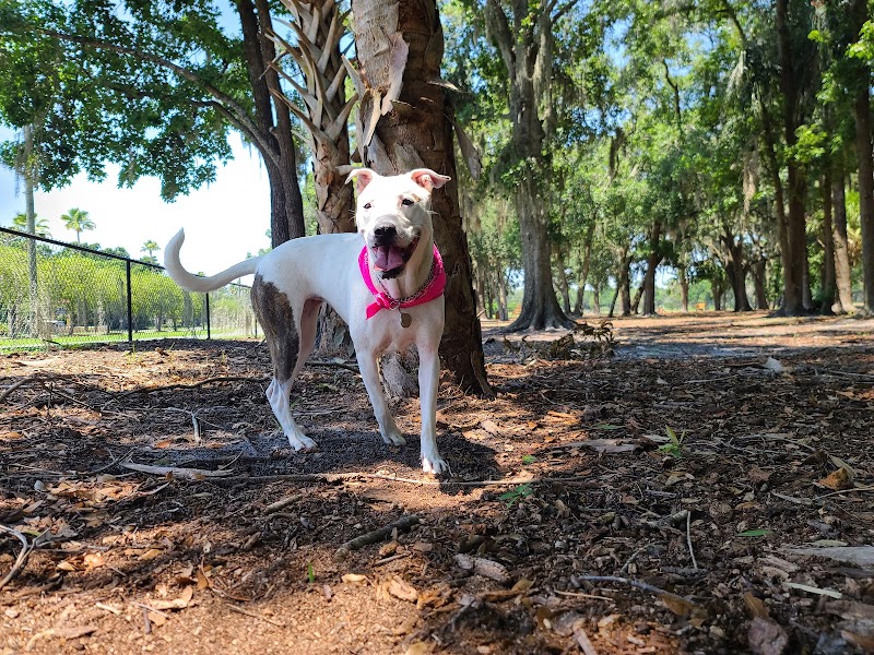 Dog Leg Woods - Lakeland, FL