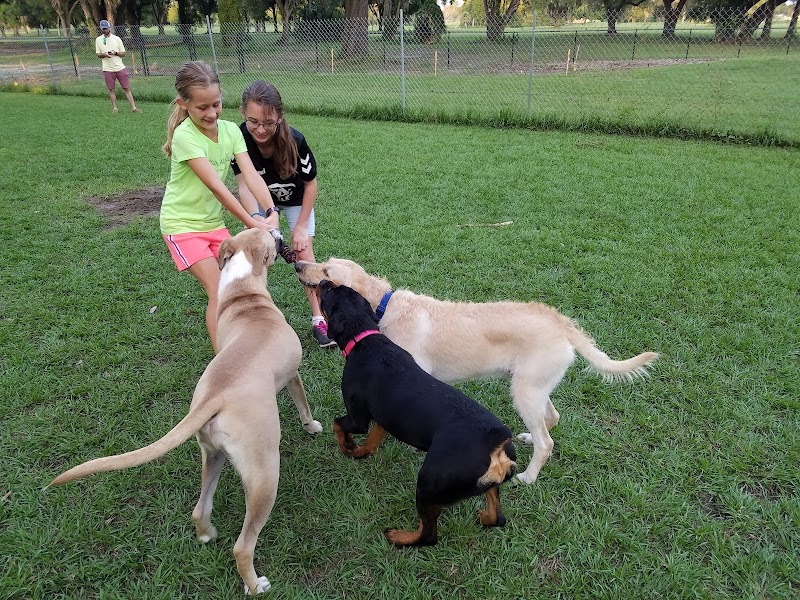 Dog Leg Woods - Lakeland, FL