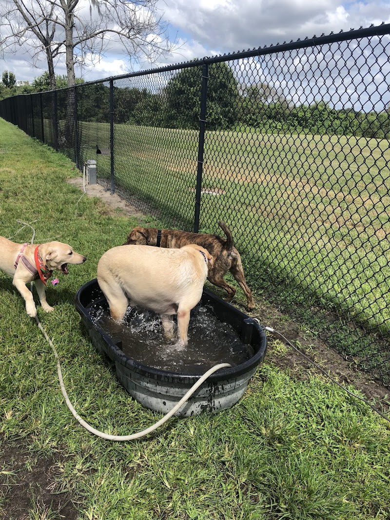Lake Crago Dog Park - Lakeland, FL