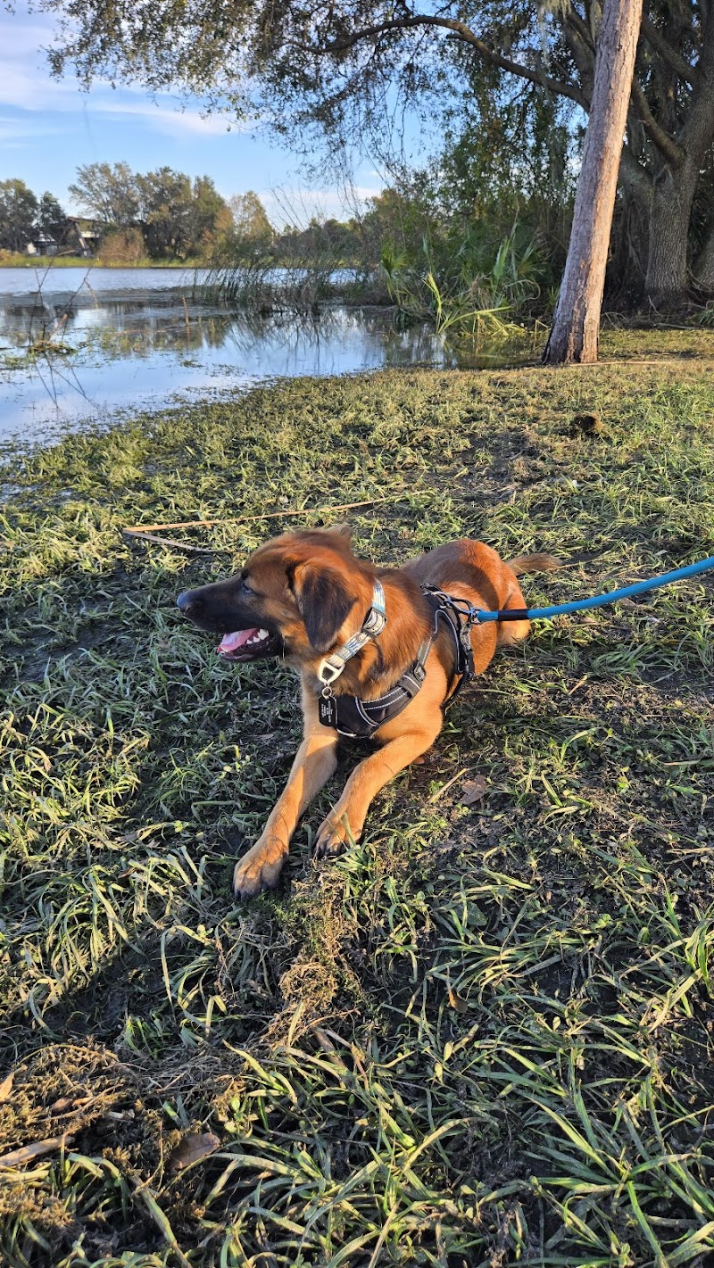 Lake Crago Dog Park - Lakeland, FL