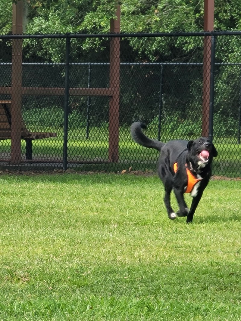 Lake Crago Dog Park - Lakeland, FL