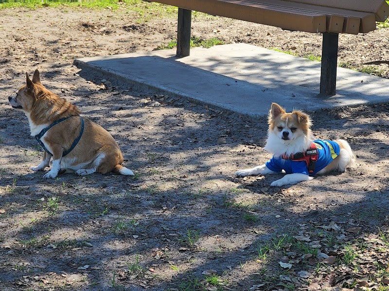 Lake Crago Dog Park - Lakeland, FL