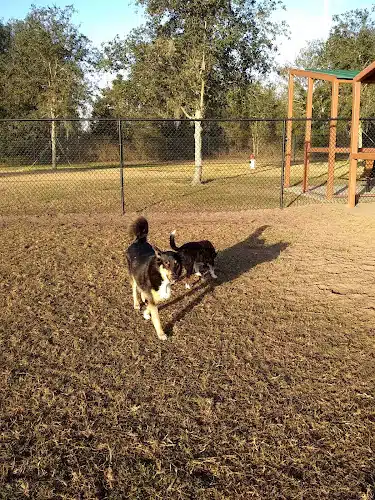 Lake Crago Dog Park - Lakeland, FL