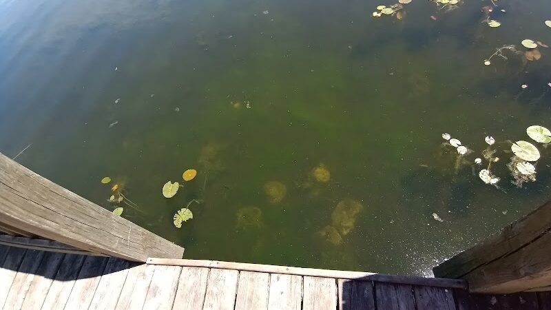 Lakeside Park - Lakeview,