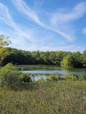 Ritter Farm Dog Park