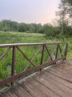 Ritter Farm Dog Park