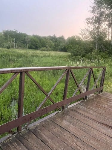 Ritter Farm Dog Park