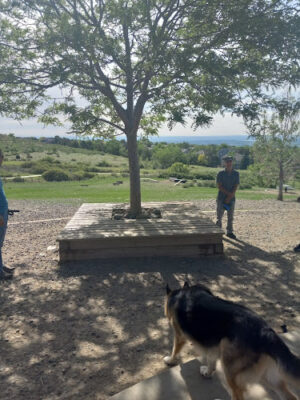 Forsberg Off-Leash Dog Park
