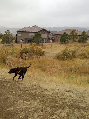 Parks, Forestry and Open Space