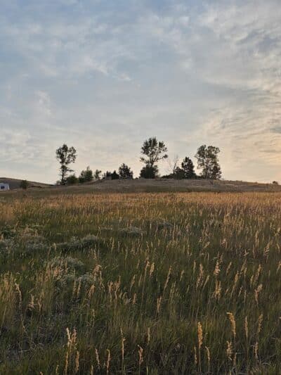 Forsberg Iron Spring Park - Lakewood, CO
