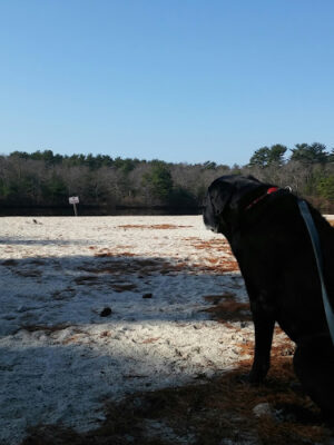 Ocean County Park