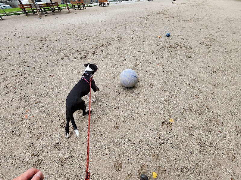 Lakewood Dog Park - Lakewood, OH
