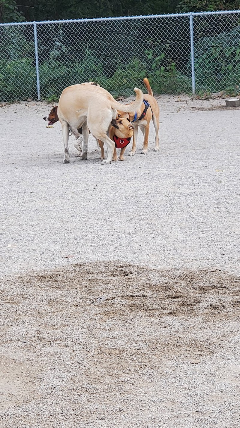 Lakewood Dog Park - Lakewood, OH