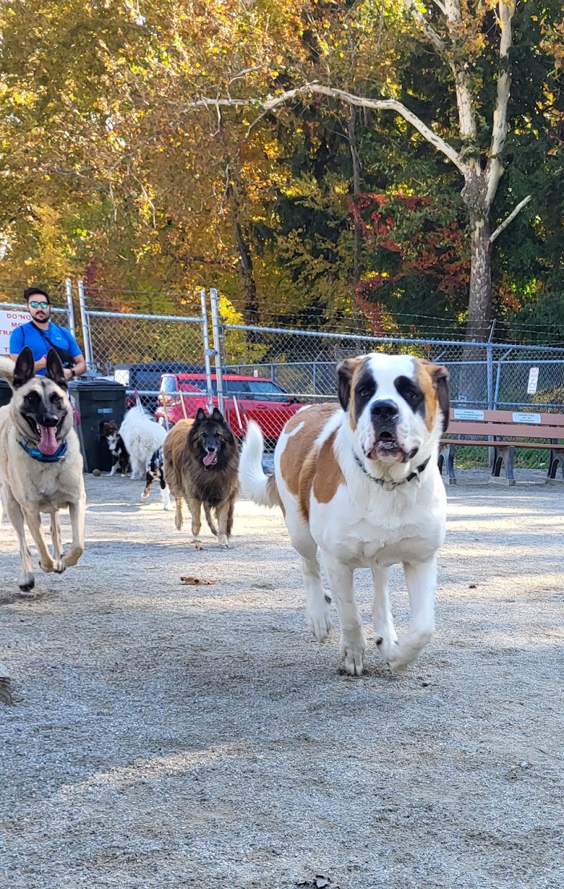 Lakewood Dog Park - Lakewood, OH