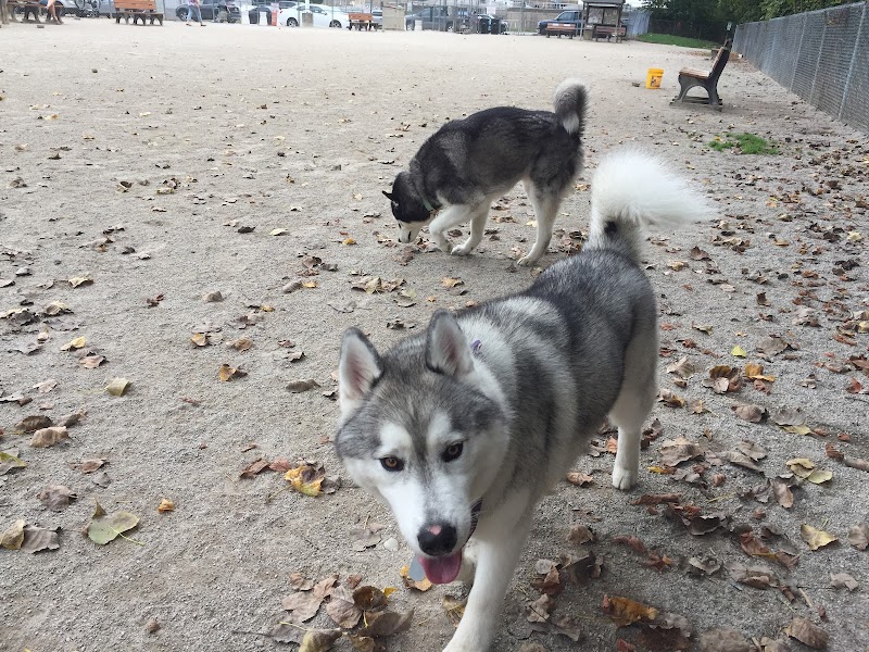 Lakewood Dog Park - Lakewood, OH