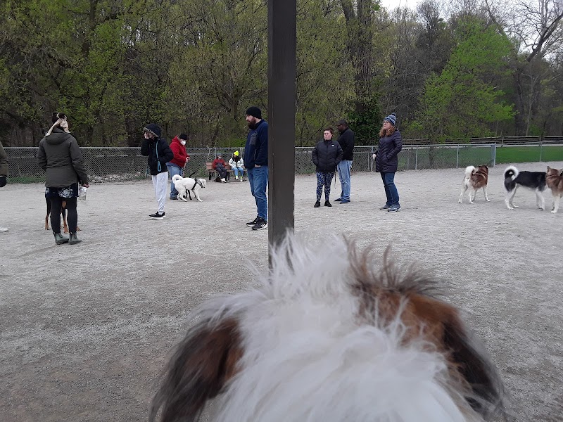 Lakewood Dog Park - Lakewood, OH