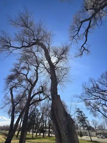 Willow Creek Park