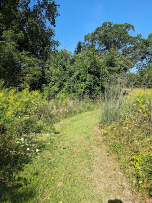 Wheeler Preserve