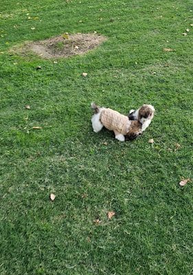 Lamont Park