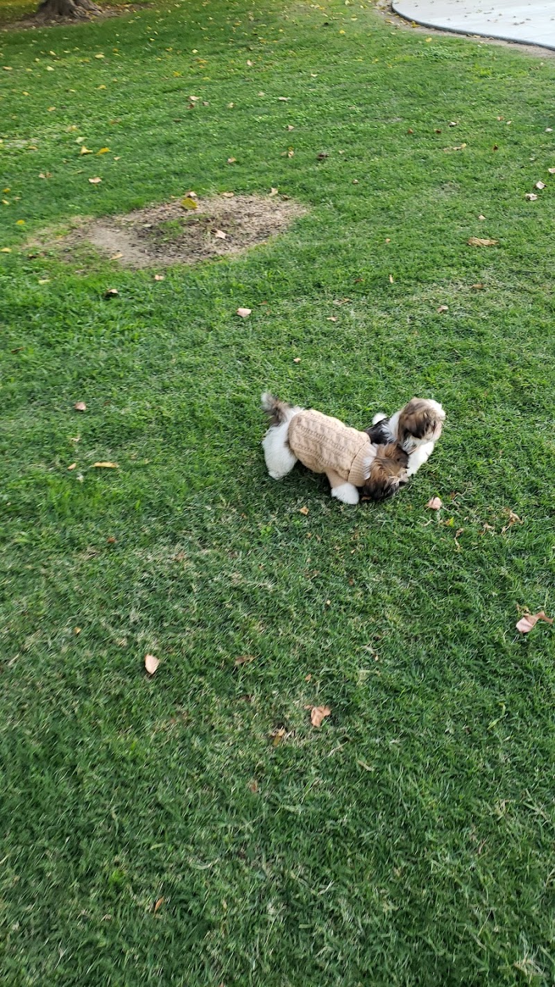 Lamont Park - Lamont, CA