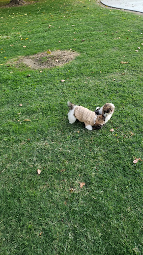 Lamont Park - Lamont, CA