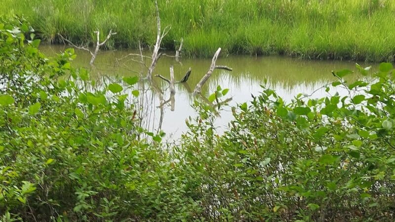 Belle Isle State Park - Lancaster, VA