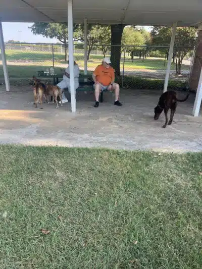 Lancaster Dog Park - Lancaster, TX
