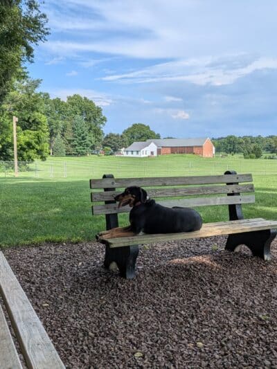 Overlook Dog Park *Membership required - Lancaster, PA