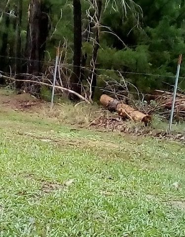 Bear Creek Park