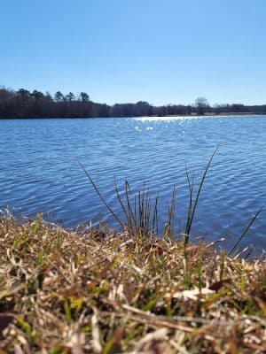 Bear Creek Park