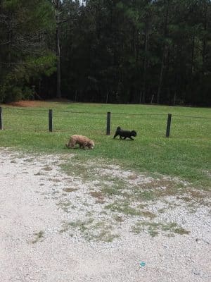 Bear Creek Park