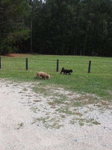 Bear Creek Park