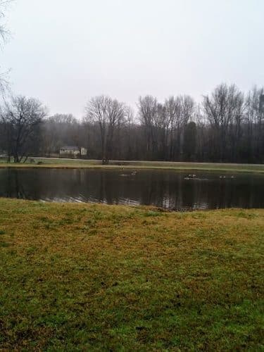 Lancaster County Recreation