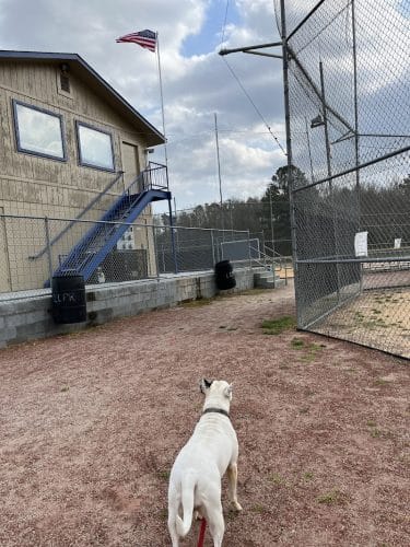 Lancaster County Recreation