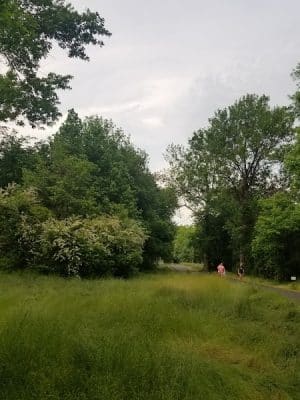 Lindsay Pettus Greenway