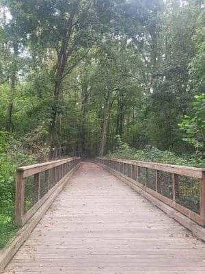 Lindsay Pettus Greenway