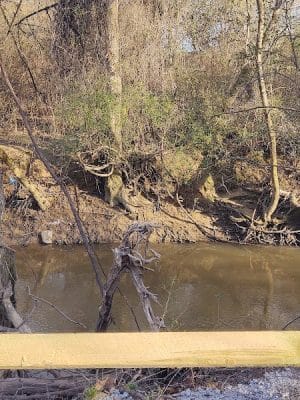 Lindsay Pettus Greenway