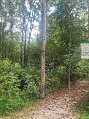 Lindsay Pettus Greenway