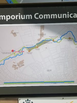 Lindsay Pettus Greenway