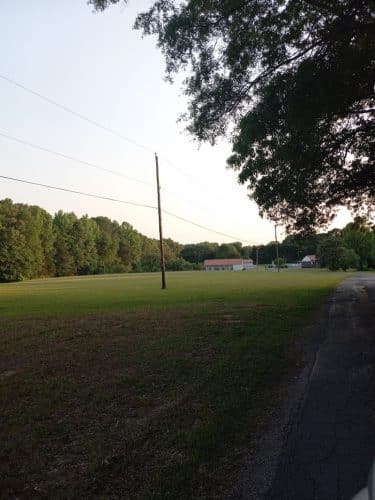 Palmetto Kennels