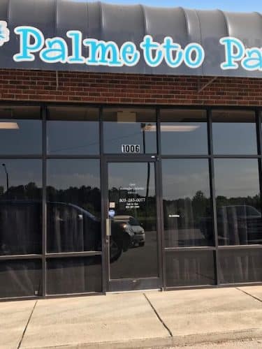 Palmetto Paws & Doggy Daycare