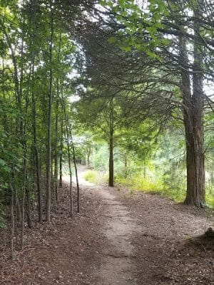 Walnut Creek Park