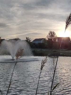 Walnut Creek Park