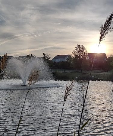 Walnut Creek Park