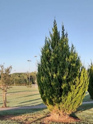 Walnut Creek Park